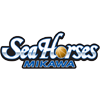 SeaHorsesMikawa